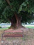 IMG_20260728_203326