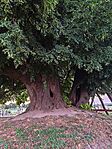 IMG_20260728_203640
