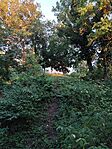 IMG_20260728_200633