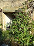IMG_20260731_184042