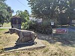 IMG_20260730_115049