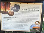 IMG_20260730_115034