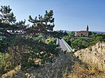 IMG_20260729_182441