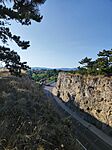 IMG_20260729_182151