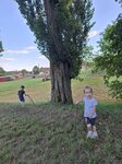 log-image-1783880631468-1