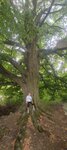 log-image-1784721847016-0