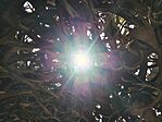 IMG_20260701_095847248_HDR