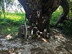IMG_20260719_110054