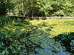 IMG20260628141108