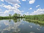 Tisza-tó 