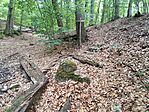 a közeli Antónia-forrás