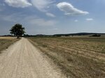 Puszta