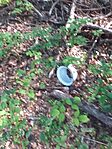 20260714_073705.jpg