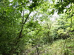 P1100533