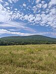 IMG_20260711_103550