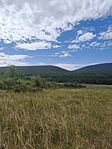 IMG_20260711_101635