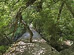 IMG_20260629_111318