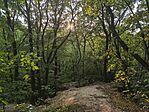 IMG_20260630_193913