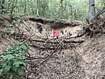 IMG_20260630_194119