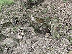 IMG_20260630_201815