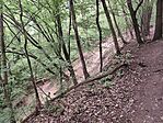 IMG_20260630_203252