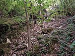 IMG_20260630_204144