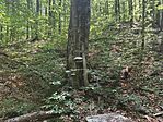 IMG_20260720_124022