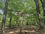 IMG_20260722_150452