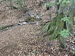 IMG_20260722_134704