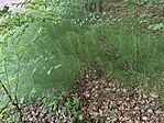IMG_20260722_134721
