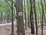 IMG_20260722_135317