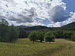 IMG_20260722_140309
