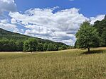 IMG_20260722_140315