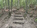 IMG_20260723_163454