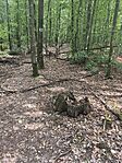 IMG_20260723_163238