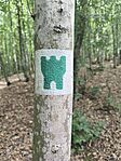 IMG_20260723_161200
