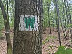 IMG_20260723_161328