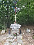 IMG_20260725_150656