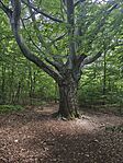 IMG_20260725_151117