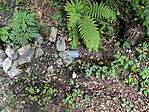 IMG_20260725_155201