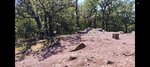 log-image-1783764591187-0