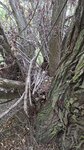 log-image-1786198195202-1