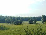 IMG_20260807_091647