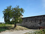DSC01252