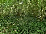 IMG20260730121255