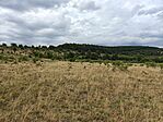 IMG20260712084938