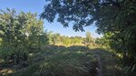log-image-1786548716106-0