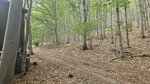 log-image-1786960283323-0