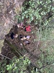 log-image-1788003353729-0