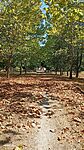 IMG_20260812_151425
